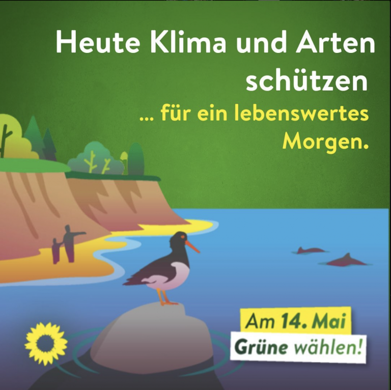 Das steht drin: Klima- und Artenschutz im Wahlprogramm