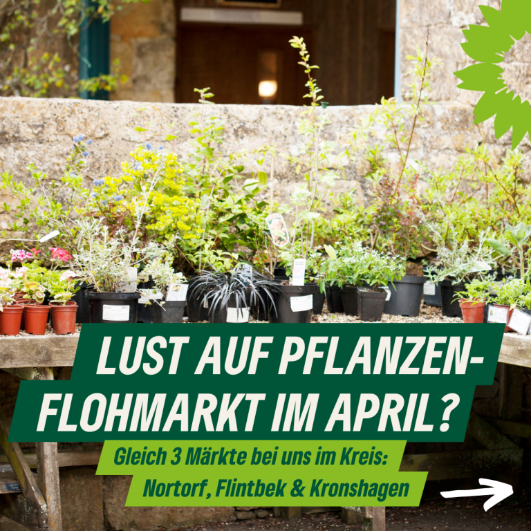 Pflanzenflohmärkte im April