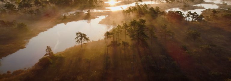 Nordischer Filmabend für unsere Mitglieder am 12. Februar 2025