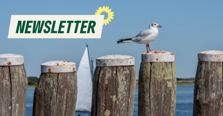 Jetzt neu: unser Newsletter